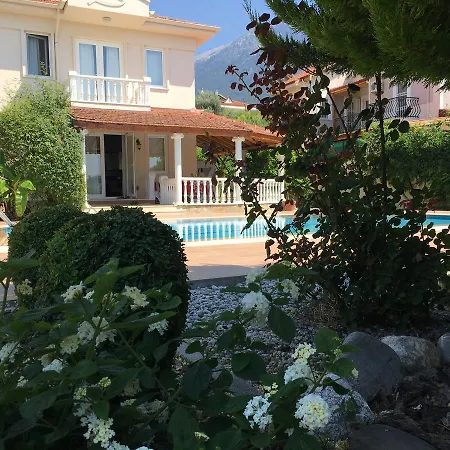 Villa Fish